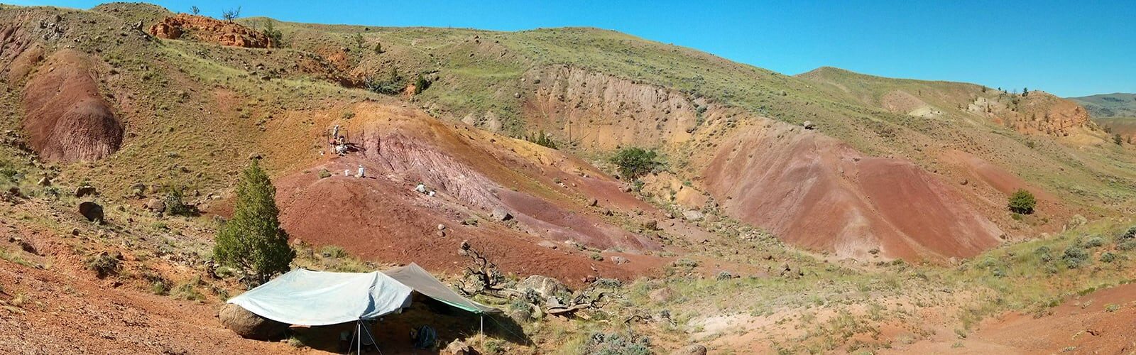 A panoramic image of a dig site.